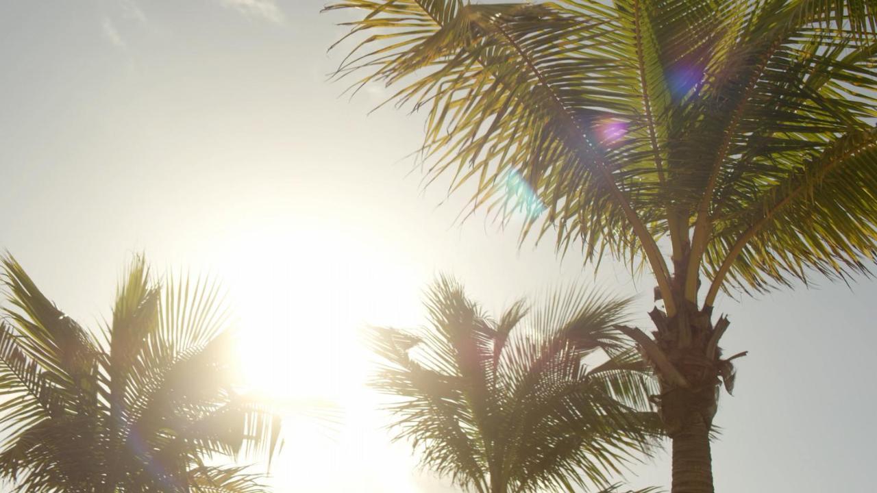 Secrets Riviera Cancun Resort & Spa (Adults Only) Puerto Morelos Zewnętrze zdjęcie